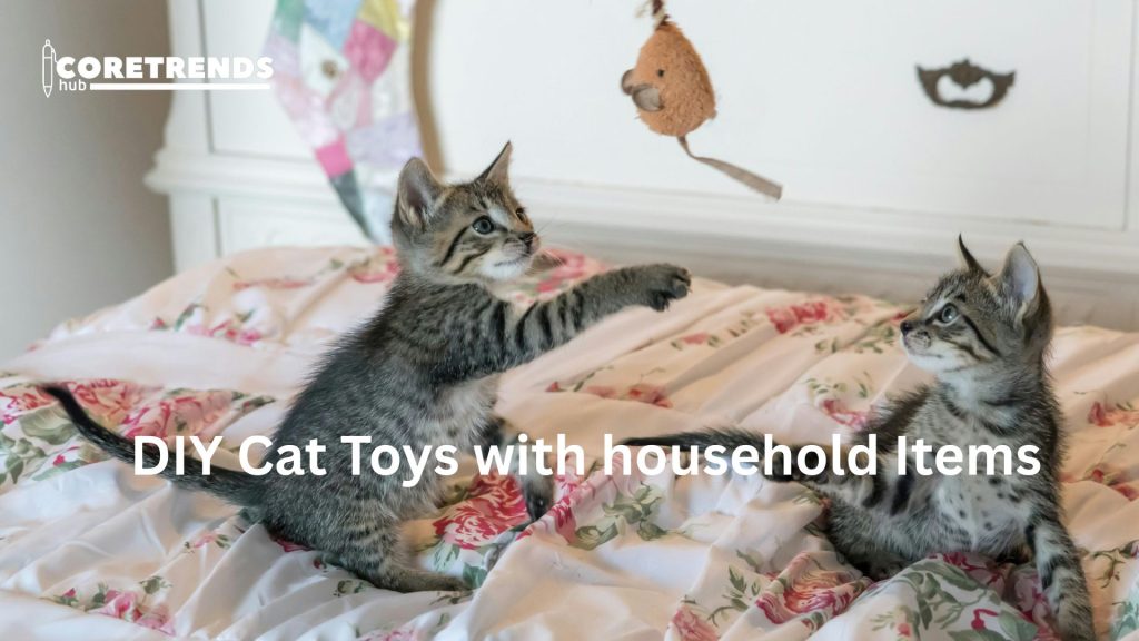 DIY Cat Toys with Household Items