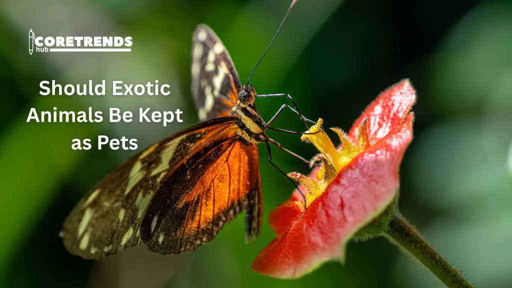 Should Exotic Animals Be Kept as Pets