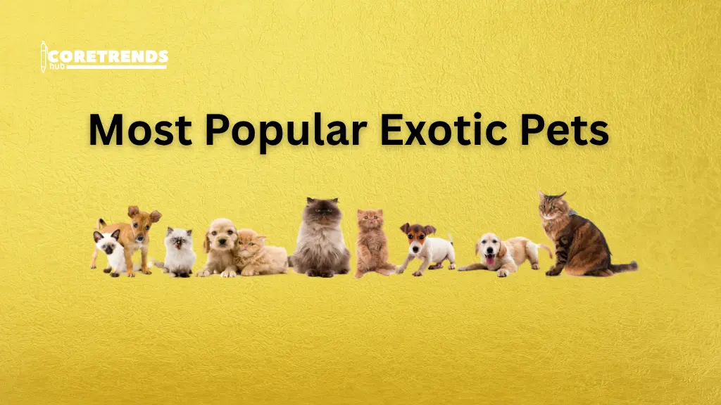 Most Popular Exotic Pets