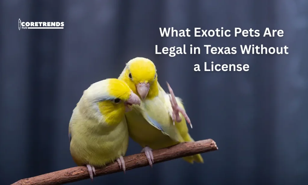 What Exotic Pets Are Legal in Texas Without a License