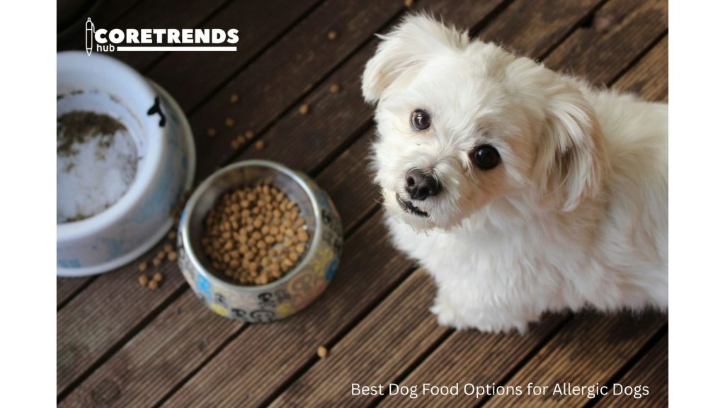5 Best Dog Food Options for Allergic Dogs