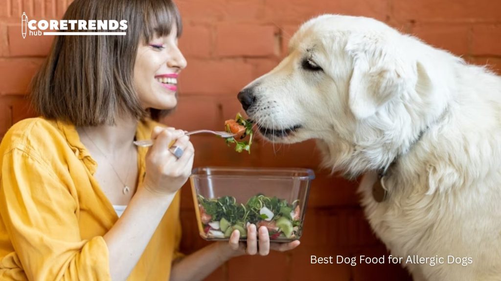 Best Dog Food for Allergic Dogs: