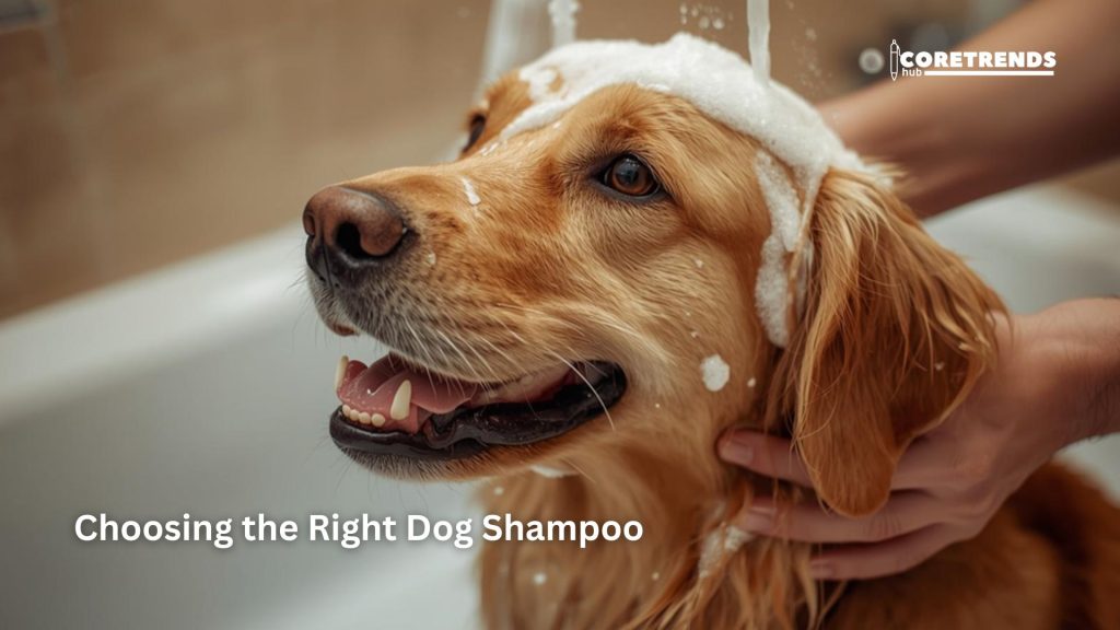 Choosing the Right Dog Shampoo