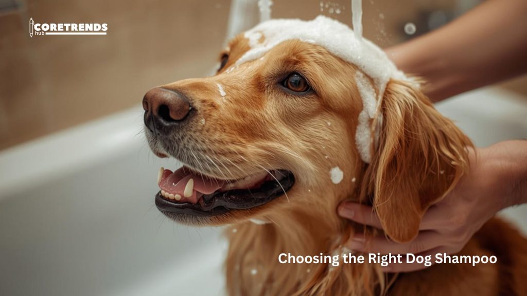 Choosing the Right Dog Shampoo: How Often Should I Bathe My Dog?