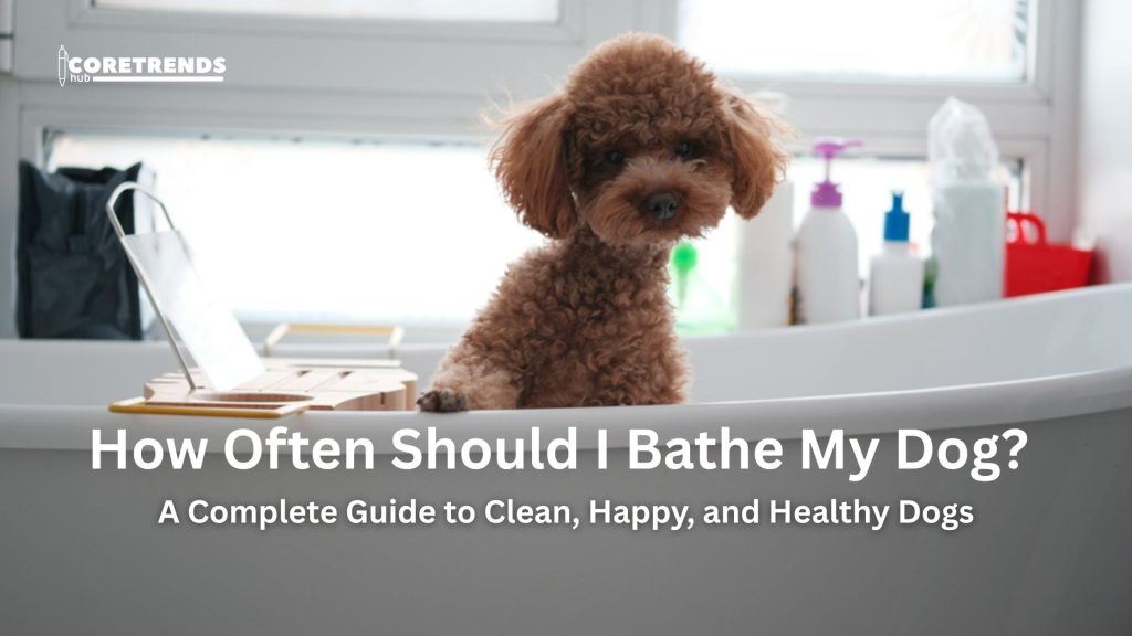 How Often Should I Bathe My Dog?