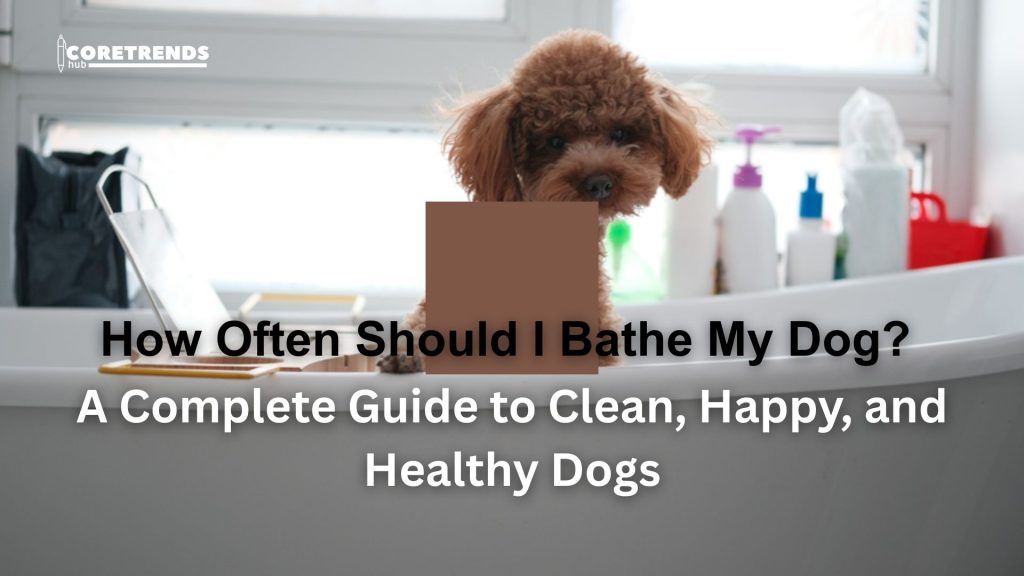 How Often Should I Bathe My Dog? A Complete Guide to Clean, Happy, and Healthy Dogs