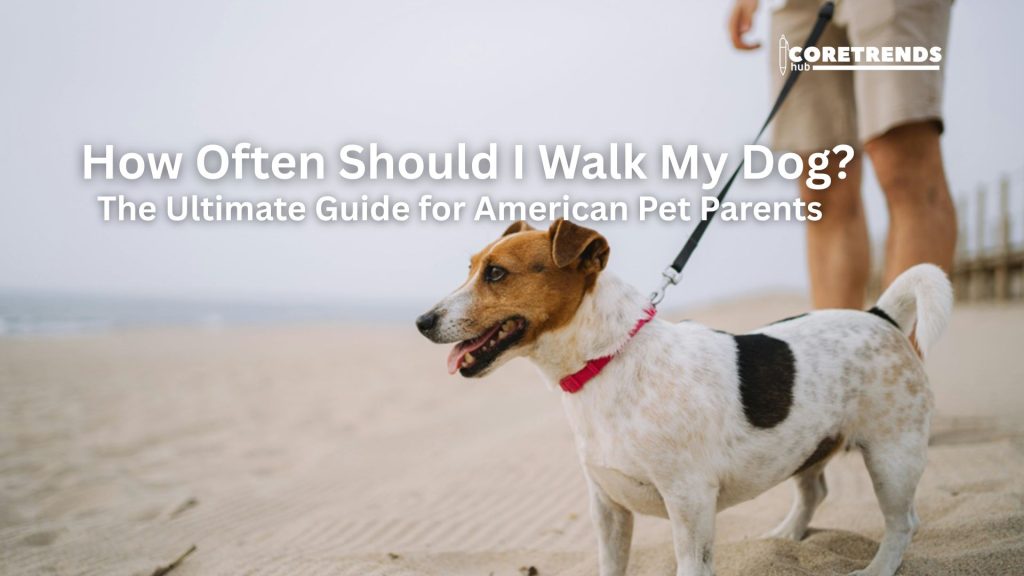 How Often Should I Walk My Dog? The Ultimate Guide for American Pet Parents