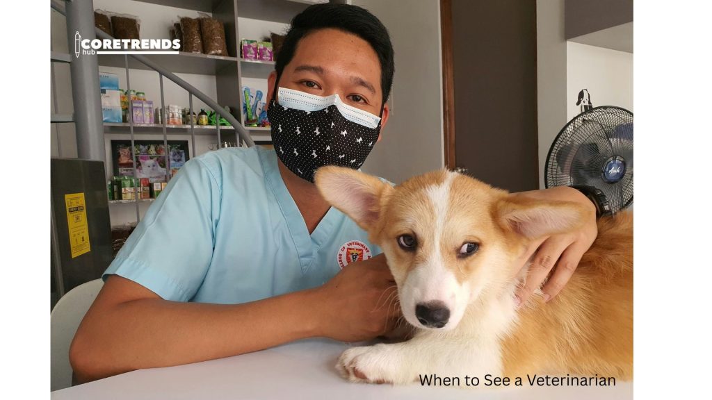 When to See a Veterinarian