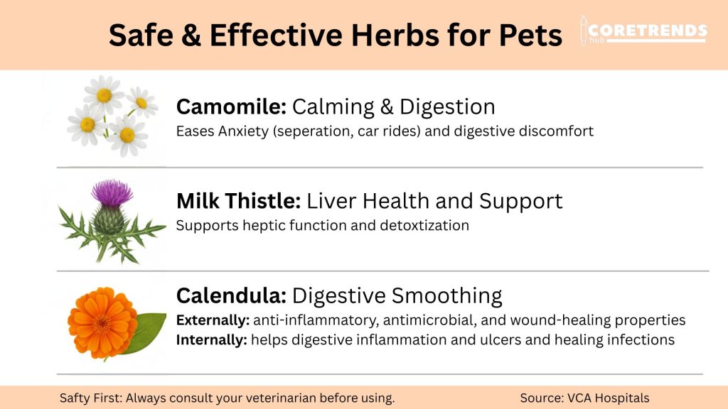 Safe & Effective Herbs for Pets